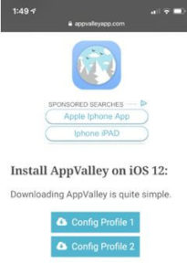 AppValley Config profile