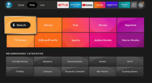 Firestick search option
