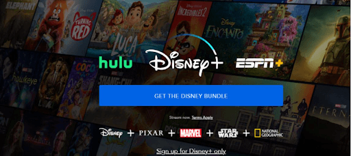 Disney Bundle