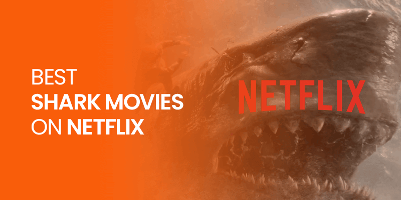 Best Shark Movies on Netflix