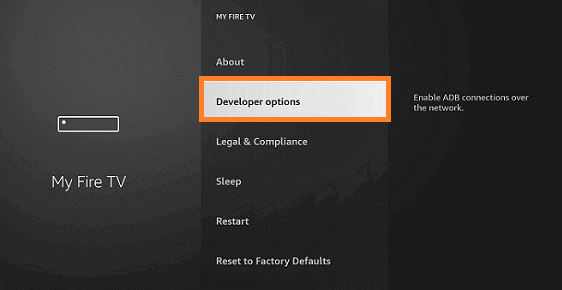 Developer Options